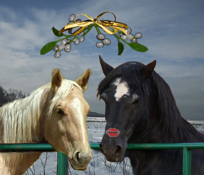 MISTLETOE-TAG.jpg_5m2J0b.jpg