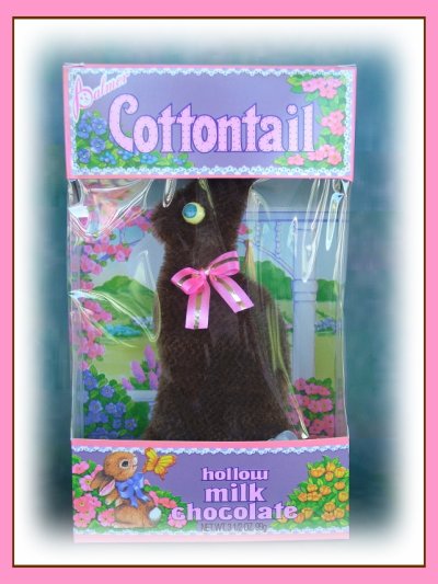 cottontailTT2.jpg