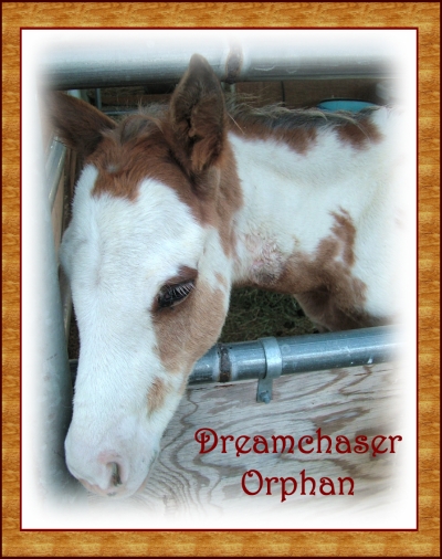 orphanTT1.jpg