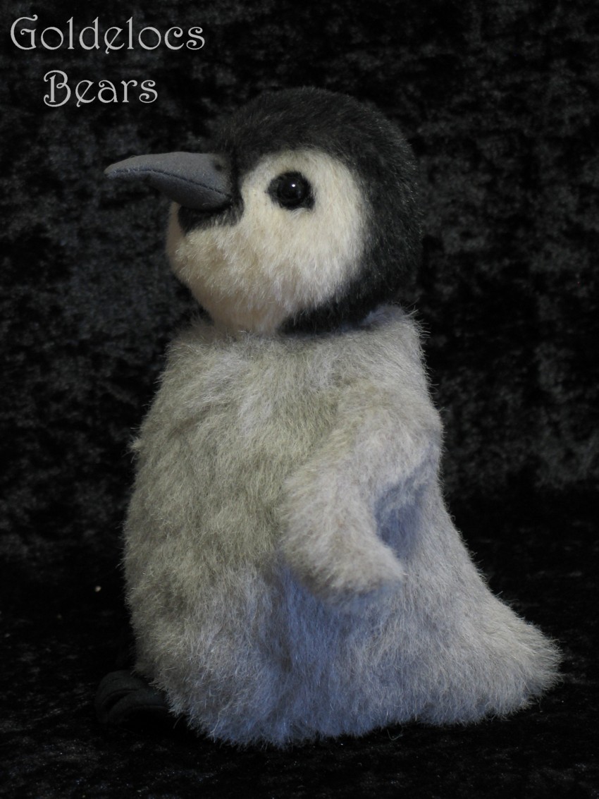 Emperor-Penguin-chick_22_June2010.jpg