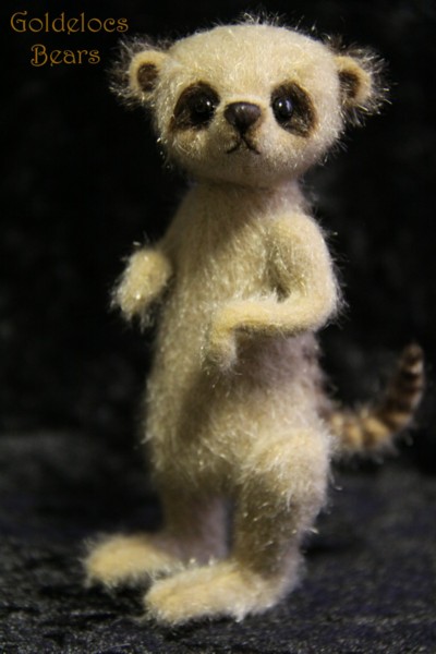 Meerkat02_Pablo_May2011tiny.jpg