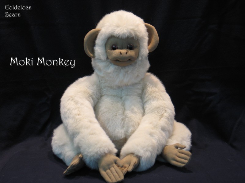 Moki-Monkey_07_26-10-08web.jpg