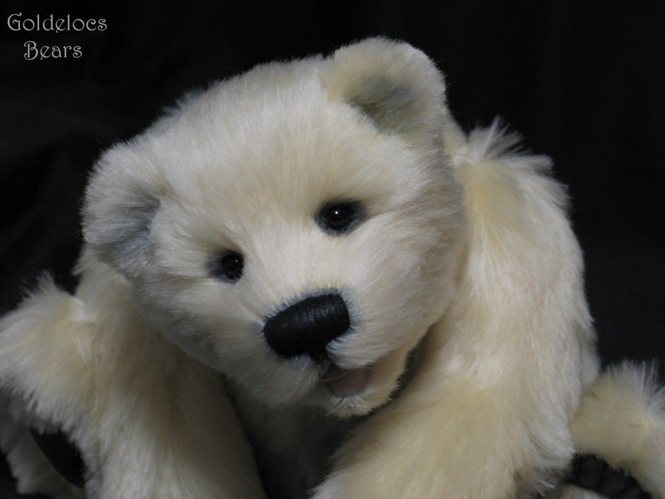 Wilbur_Polar-Bear_open-Mouth_28_22-09-09.jpg