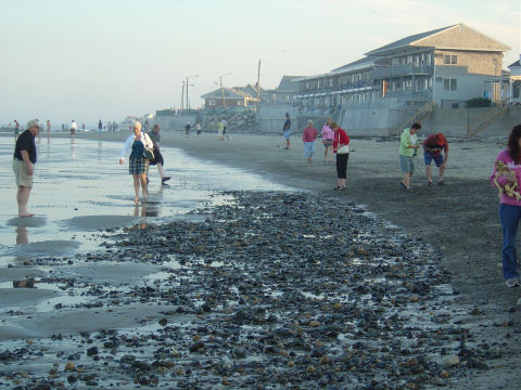 Beach72.JPG