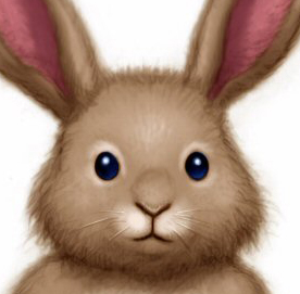 bunnyface.jpg