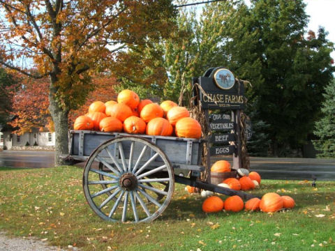 fall13.jpg