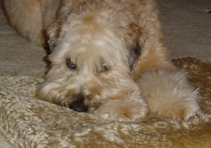 riley090708.jpg