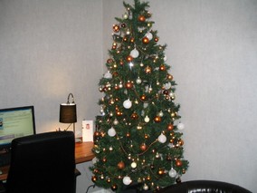 IMG_2350.JPG