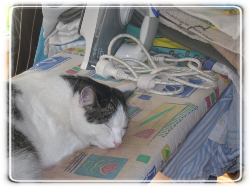 Ironing_is_boring.jpg