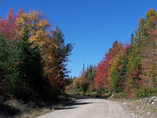 Fall_road2.jpg
