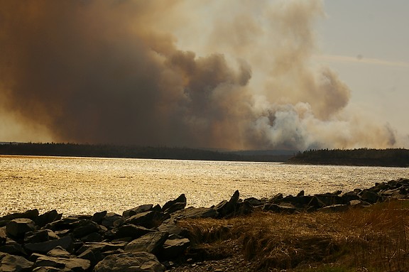 Fire2.jpg