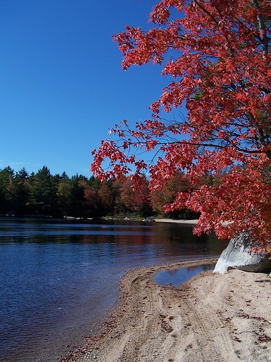 Lake_1.jpg