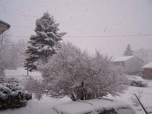 SNOW2Small.jpg