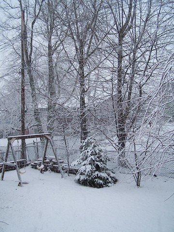 SNOW3.jpg