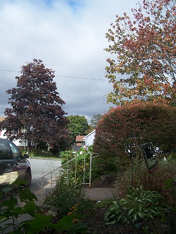 weather.jpg