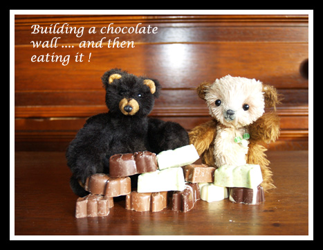 Beau__Rascal__Matti_141109_TT02.jpg