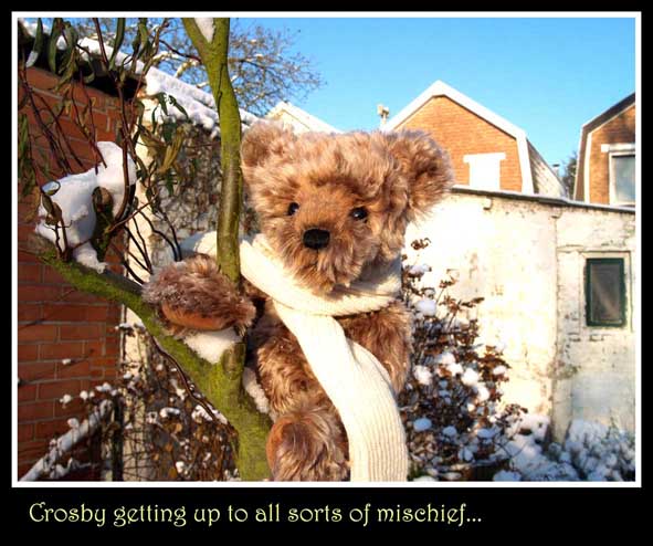Bumpking_bears_for_TT02.jpg