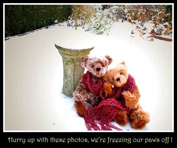 Bumpking_bears_for_TT03.jpg