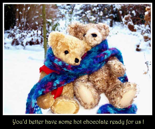 Bumpking_bears_for_TT05.jpg