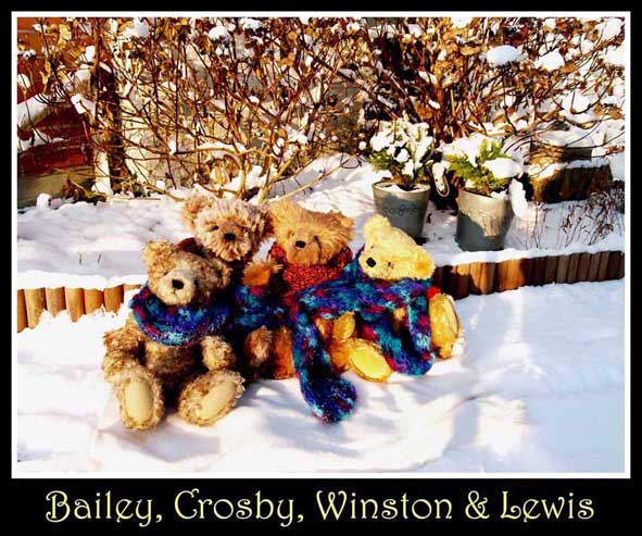 Bumpking_bears_for_TT06bis.jpg