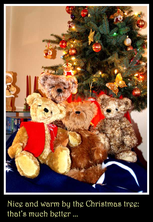 Bumpking_bears_for_TT07.jpg