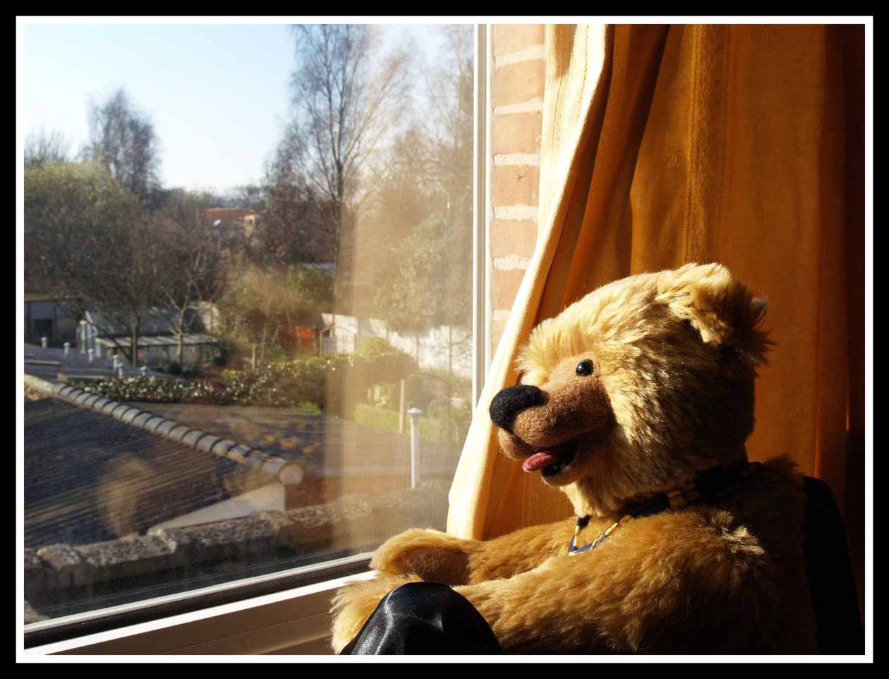 George_by_Jane_Lynne_Martin02_Doodlebears.jpg