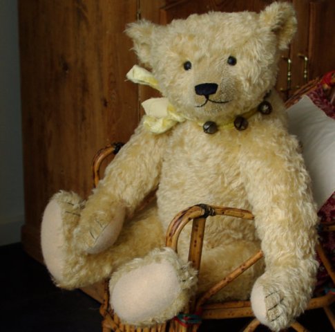HamptonBears_Otto01_small.jpg
