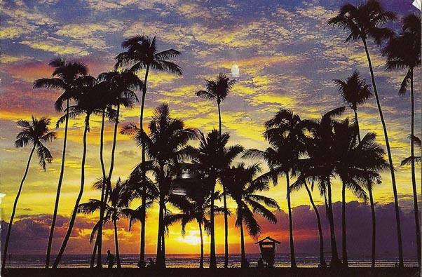 Hawai.jpg
