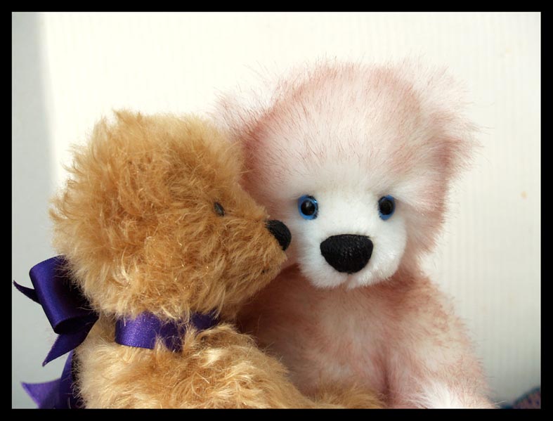 LJ_Bears_-_Winter_Blush_07TT2.jpg