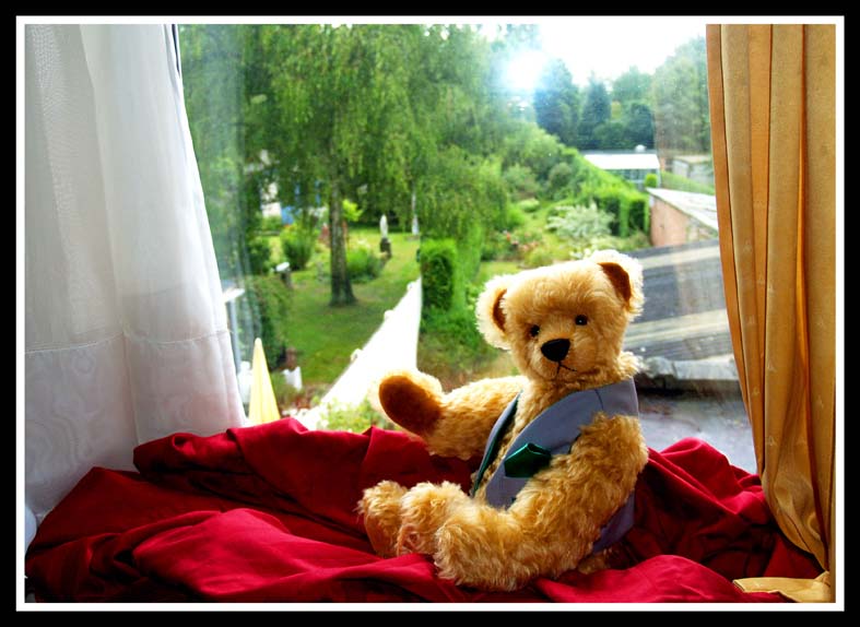 LJ_Bears_Baudouin02TT.jpg