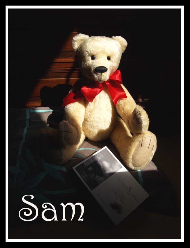 Sam_for_TT06.jpg