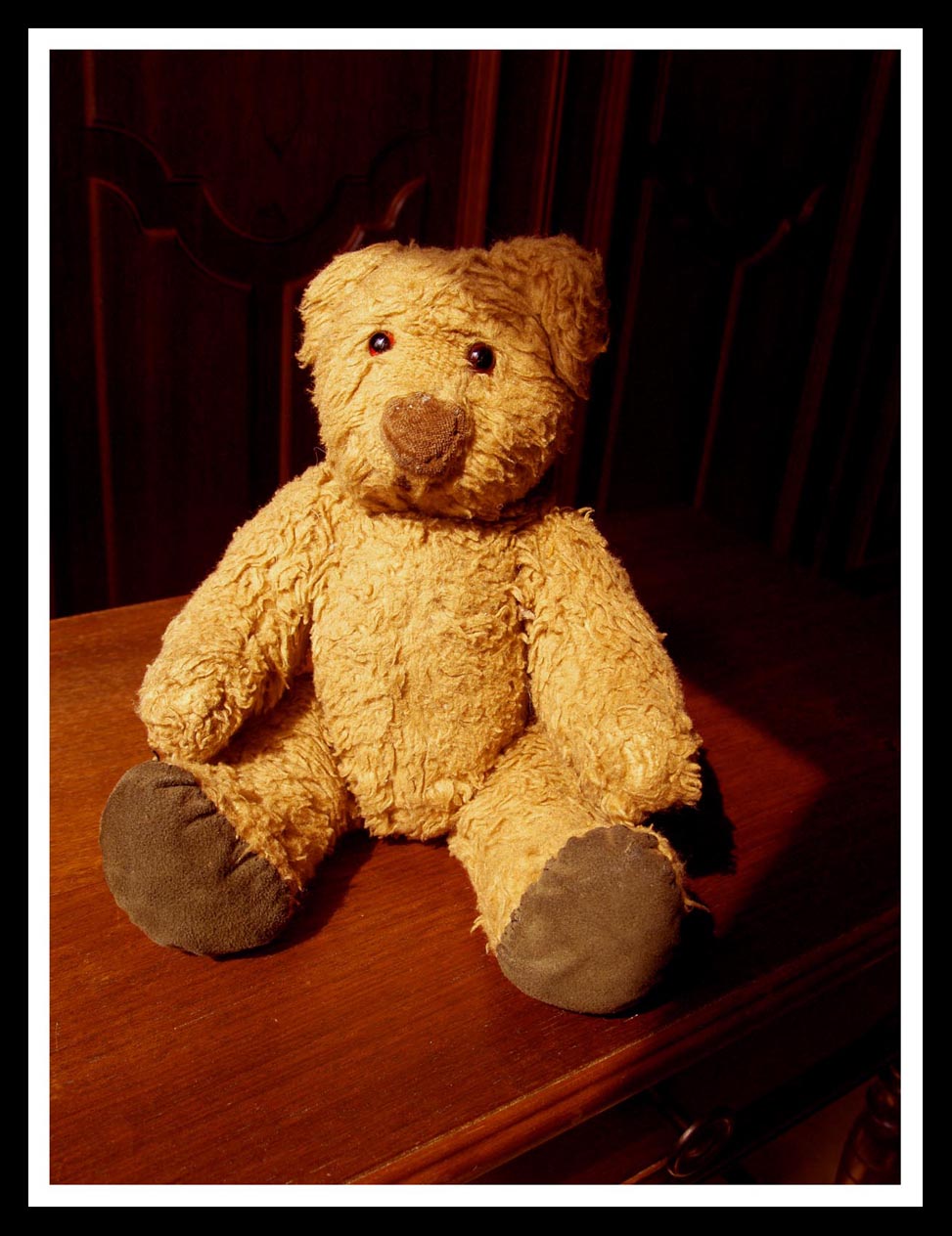 Teddy02.jpg