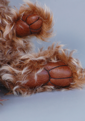 DSC_0868_Paws_MadelineMBC_TT.jpg