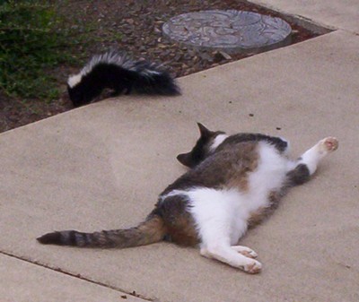 000_0907a.jpg
