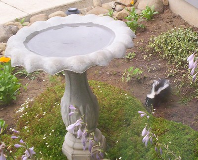000_0912a.jpg
