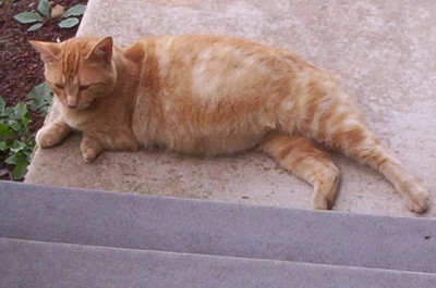 000_0981a.jpg