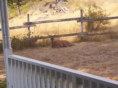 000_1036.jpg
