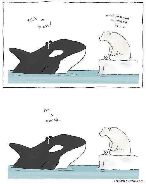 1350788544_panda_whale.jpg