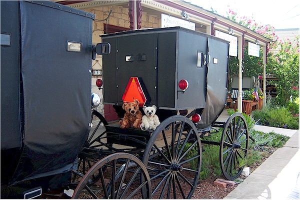 Fredericksburg12.jpg