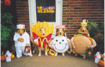 dogcostumes.jpg