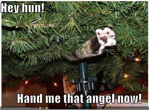 funny-pictures-cat-hangs-angel.jpg