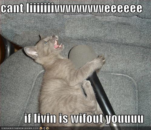 funny-pictures-karaoke-cat.jpg