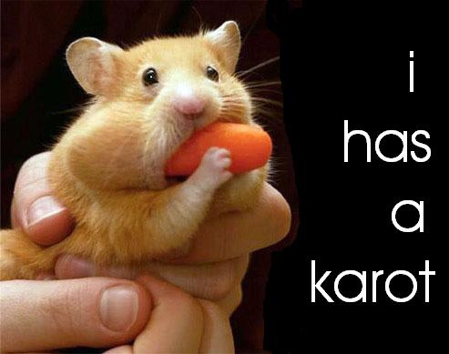 i_has_a_karot.jpg