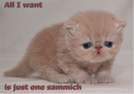 sammich2.jpg