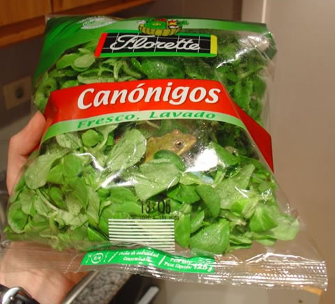 salad-bag.jpg
