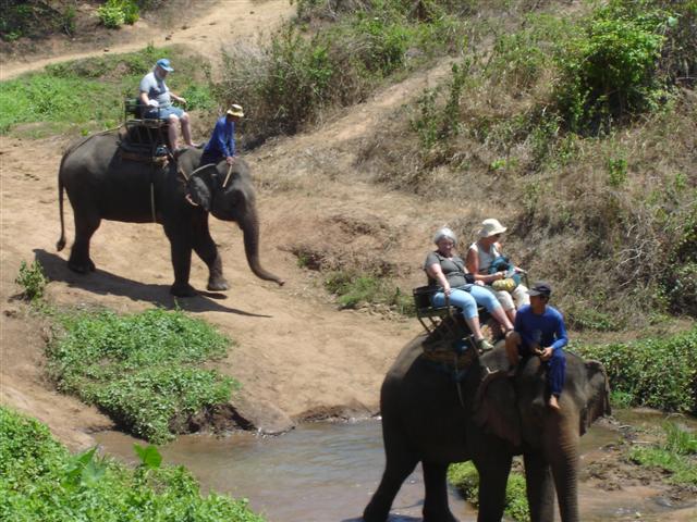 elephant.JPG
