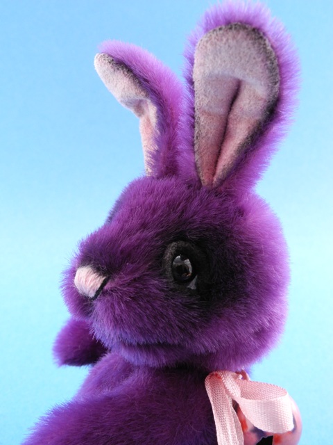 amime-bunny-rabbit-mebears-miniature-close.JPG