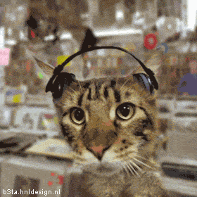 ATT3938141.gif