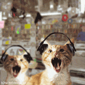 ATT3938163.gif
