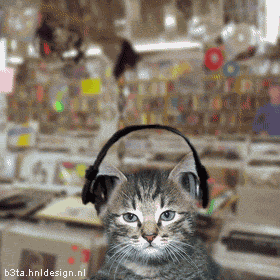 ATT3938174.gif